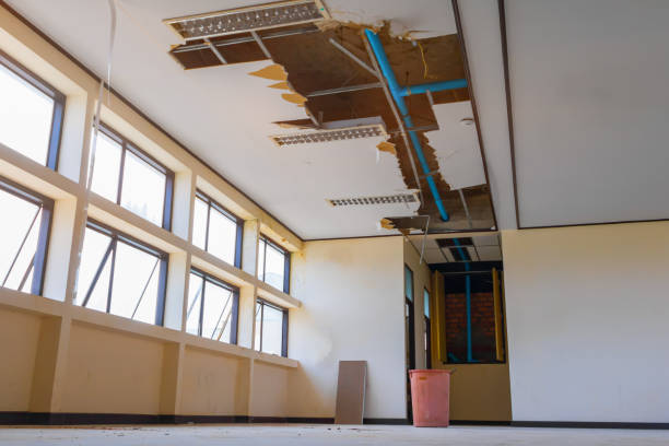 Best Water damage restoration company  in Hartford, IL