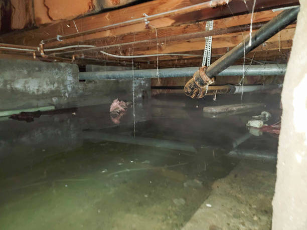 Best 24-hour water damage restoration  in Hartford, IL