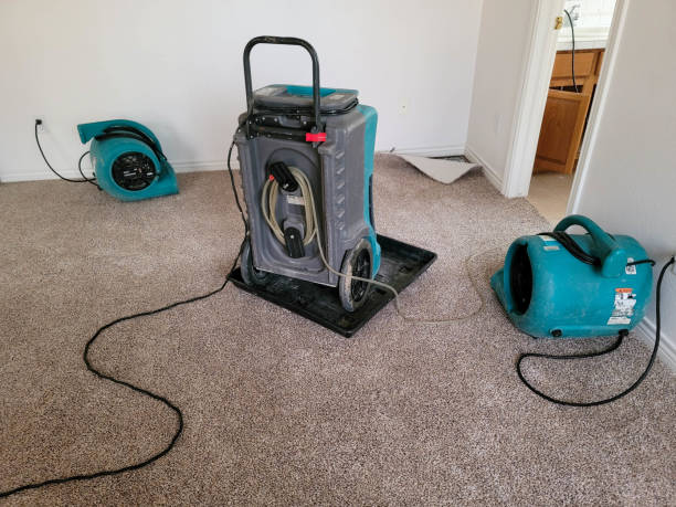 Best Residential water damage restoration  in Hartford, IL
