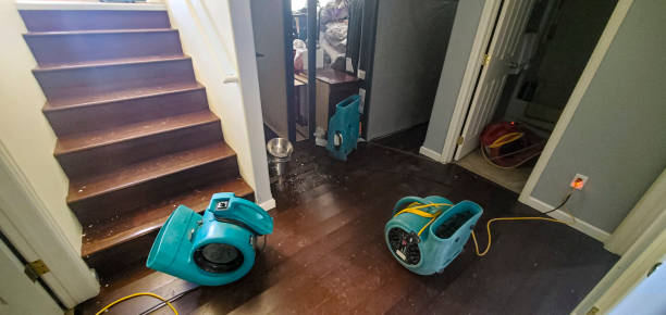 Best Water damage restoration near me  in Hartford, IL