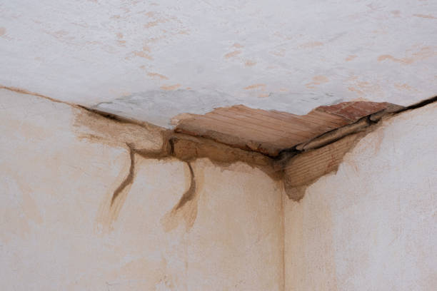 Best Flood restoration services  in Hartford, IL
