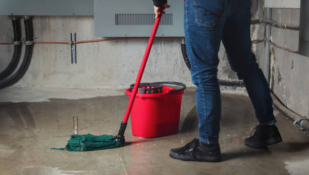 Best Mold removal after water damage  in Hartford, IL