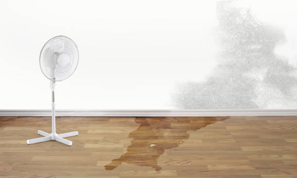 Best Water damage restoration experts  in Hartford, IL